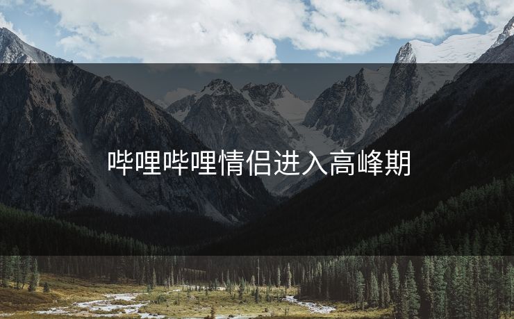 哔哩哔哩情侣进入高峰期