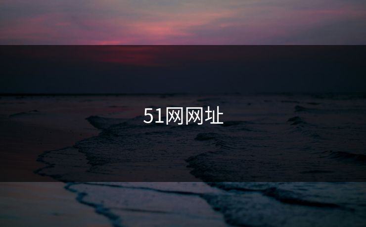 51网网址