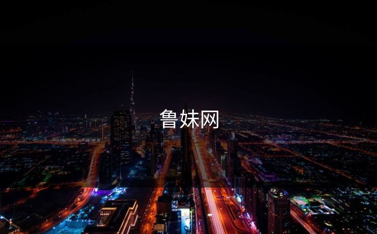 鲁妹网