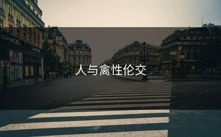 人与禽性伦交