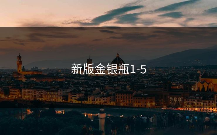 新版金银瓶1-5