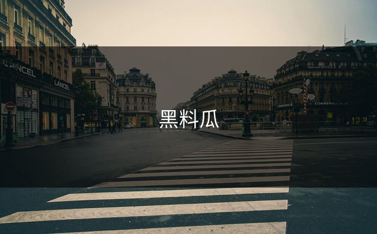 黑料瓜