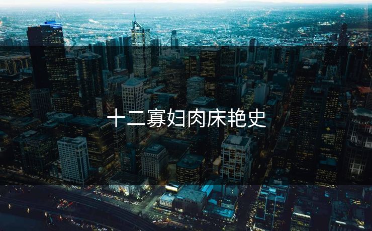 十二寡妇肉床艳史